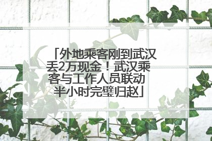 外地乘客刚到武汉丢2万现金！武汉乘客与工作人员联动 半小时完璧归赵