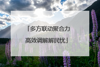 多方联动聚合力 高效调解解民忧