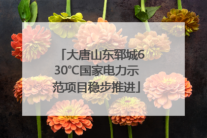 大唐山东郓城630℃国家电力示范项目稳步推进