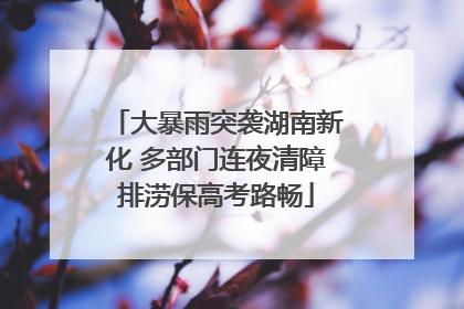 大暴雨突袭湖南新化 多部门连夜清障排涝保高考路畅