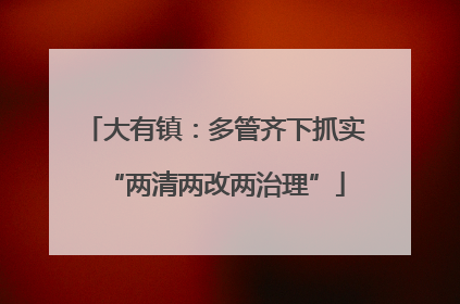 大有镇：多管齐下抓实“两清两改两治理”