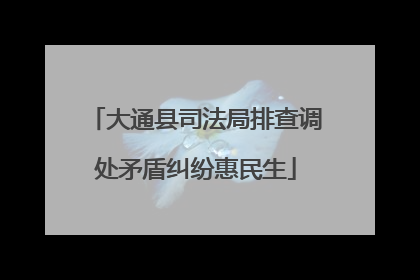 大通县司法局排查调处矛盾纠纷惠民生