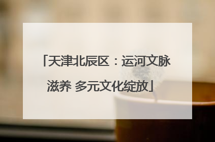 天津北辰区：运河文脉滋养 多元文化绽放
