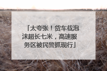 太夸张！货车载泡沫超长七米，高速服务区被民警抓现行