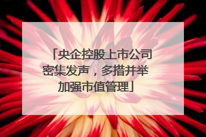 央企控股上市公司密集发声，多措并举加强市值管理