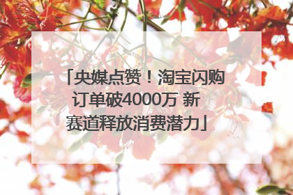 央媒点赞！淘宝闪购订单破4000万 新赛道释放消费潜力