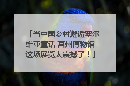 当中国乡村邂逅塞尔维亚童话 莒州博物馆这场展览太震撼了！