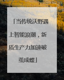 当传统沃野遇上智能浪潮，新质生产力加速破茧成蝶