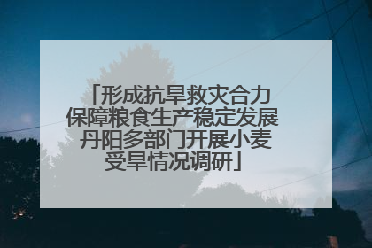 形成抗旱救灾合力 保障粮食生产稳定发展 丹阳多部门开展小麦受旱情况调研
