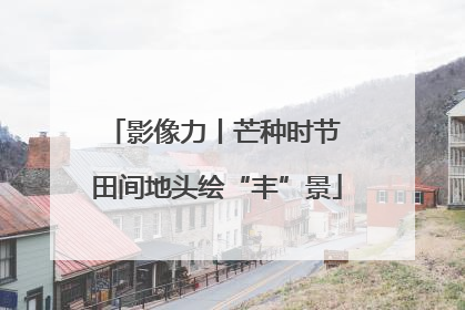 影像力丨芒种时节 田间地头绘“丰”景