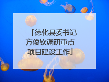 德化县委书记方俊钦调研重点项目建设工作