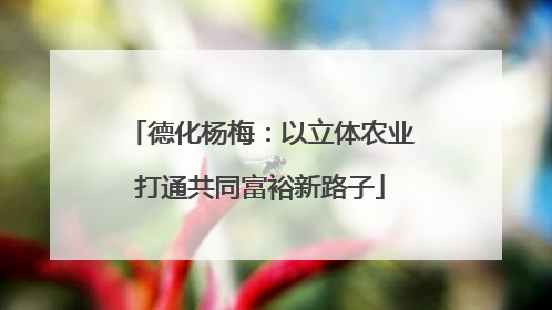 德化杨梅：以立体农业打通共同富裕新路子