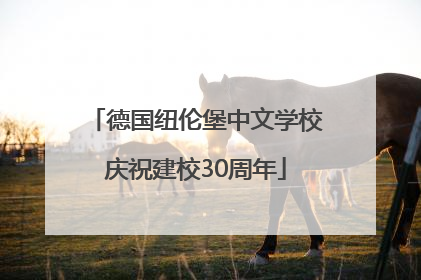 德国纽伦堡中文学校庆祝建校30周年