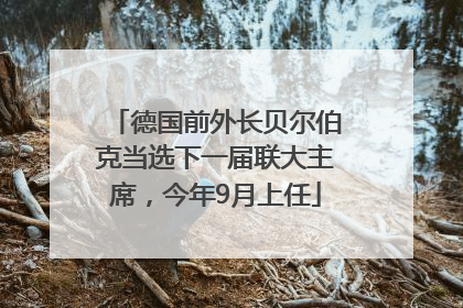 德国前外长贝尔伯克当选下一届联大主席，今年9月上任