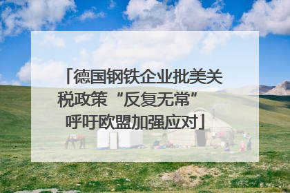 德国钢铁企业批美关税政策“反复无常” 呼吁欧盟加强应对