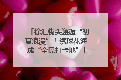 徐汇街头邂逅“初夏浪漫”！绣球花海成“全民打卡地”