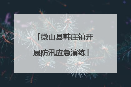 微山县韩庄镇开展防汛应急演练