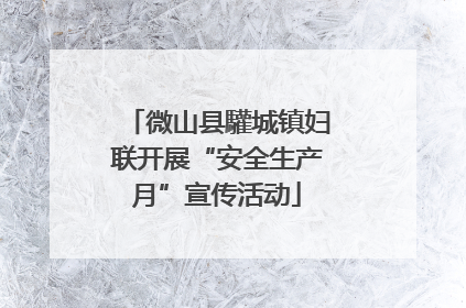 微山县驩城镇妇联开展“安全生产月”宣传活动