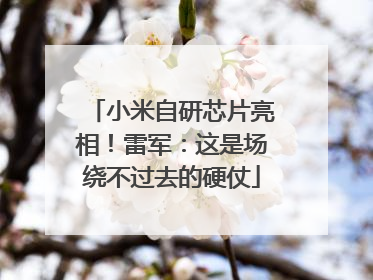 小米自研芯片亮相！雷军：这是场绕不过去的硬仗