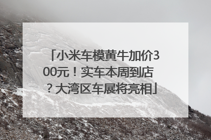 小米车模黄牛加价300元！实车本周到店？大湾区车展将亮相