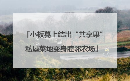 小板凳上结出“共享果” 私垦菜地变身睦邻农场