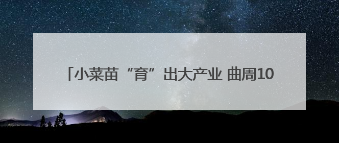 小菜苗“育”出大产业 曲周10亿株“科技苗”15省落地生根