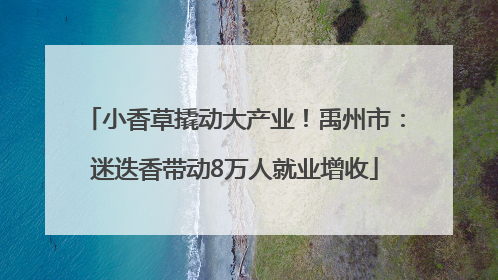 小香草撬动大产业！禹州市：迷迭香带动8万人就业增收