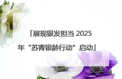 展现银发担当 2025年“苏青银龄行动”启动