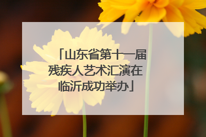 山东省第十一届残疾人艺术汇演在临沂成功举办