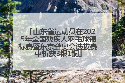 山东省运动员在2025年全国残疾人羽毛球锦标赛暨东京聋奥会选拔赛中斩获3银1铜