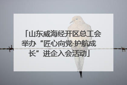 山东威海经开区总工会举办“匠心向党·护航成长”进企入会活动
