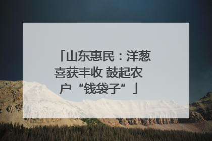 山东惠民：洋葱喜获丰收 鼓起农户“钱袋子”