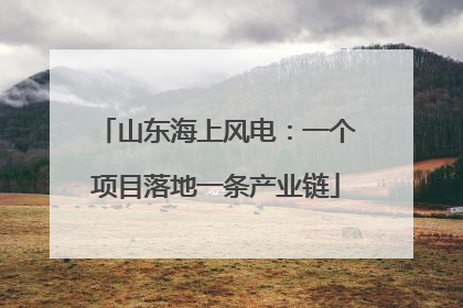 山东海上风电：一个项目落地一条产业链