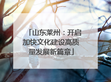 山东莱州：开启加快文化建设高质量发展新篇章