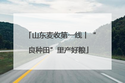 山东麦收第一线丨“良种田”里产好粮