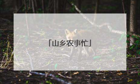 山乡农事忙