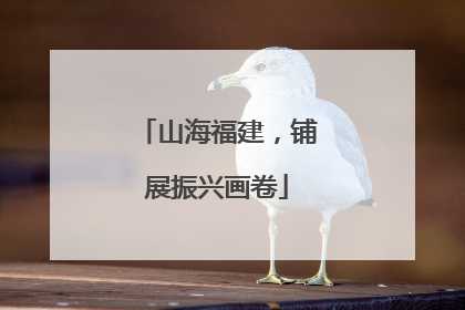 山海福建，铺展振兴画卷