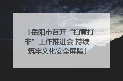 岳阳市召开“扫黄打非”工作推进会 持续筑牢文化安全屏障