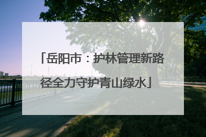 岳阳市：护林管理新路径全力守护青山绿水
