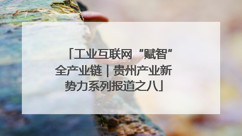 工业互联网“赋智”全产业链｜贵州产业新势力系列报道之八