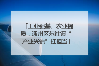 工业强基、农业提质，通州区东社镇“产业兴镇”扛担当