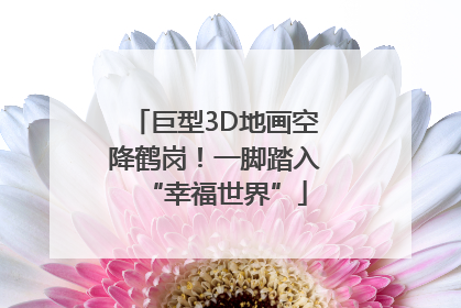 巨型3D地画空降鹤岗！一脚踏入“幸福世界”