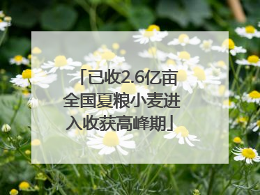 已收2.6亿亩 全国夏粮小麦进入收获高峰期