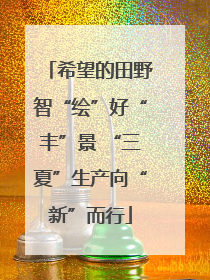 希望的田野智“绘”好“丰”景 “三夏”生产向“新”而行