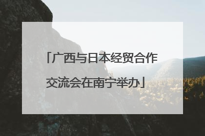 广西与日本经贸合作交流会在南宁举办