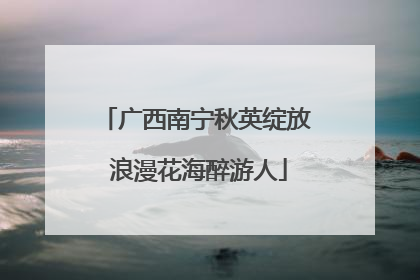 广西南宁秋英绽放 浪漫花海醉游人