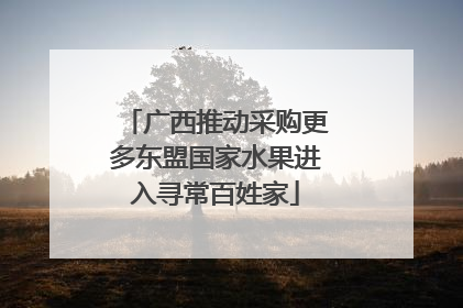 广西推动采购更多东盟国家水果进入寻常百姓家