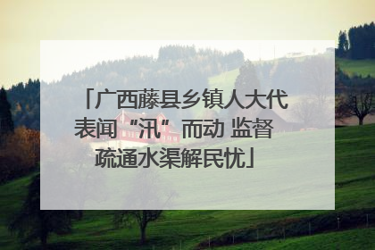 广西藤县乡镇人大代表闻“汛”而动 监督疏通水渠解民忧