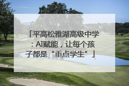 平高松雅湖高级中学：AI赋能，让每个孩子都是“重点学生”