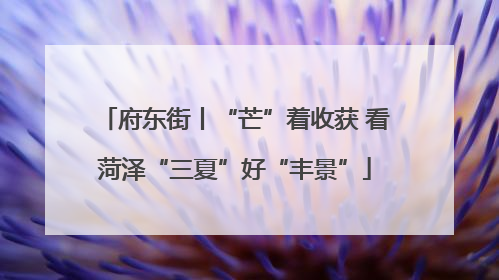 府东街丨“芒”着收获 看菏泽“三夏”好“丰景”